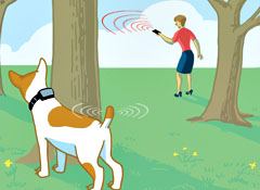 GPS tracking Illustration by Alison Seiffer