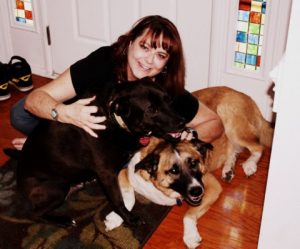 Love and Kisses Pet Sitting Indian Land SC
