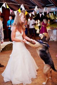 Dog attends your wedding