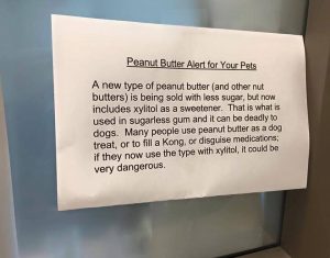 Peanut Butter Can Kill My Dog?
